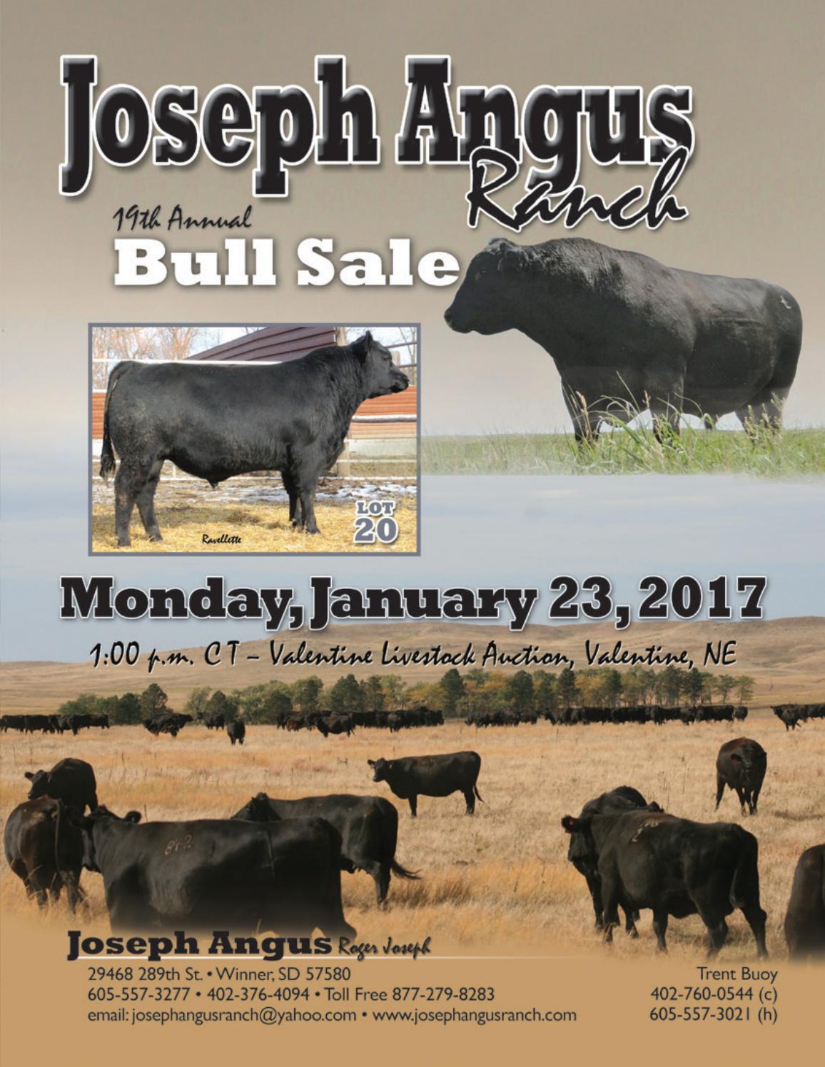 Jar 2017 catalog by RPI Promotions Issuu