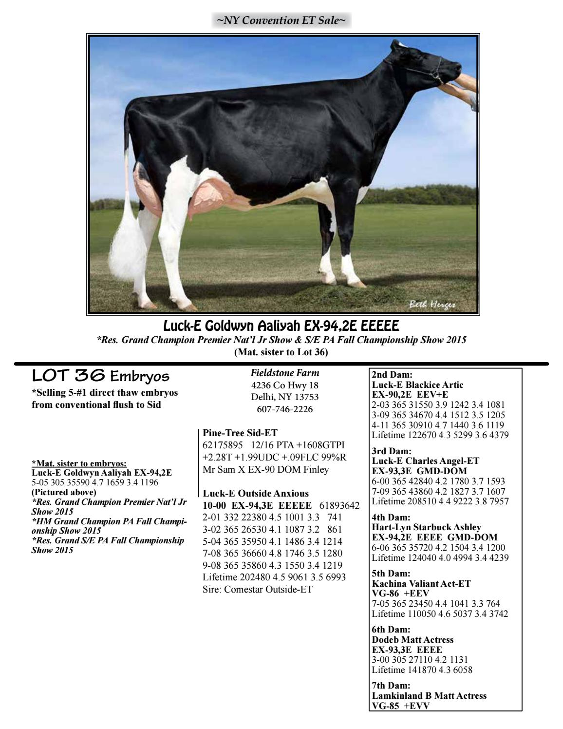 New York Convention Et Sale By Cowsmopolitan Issuu