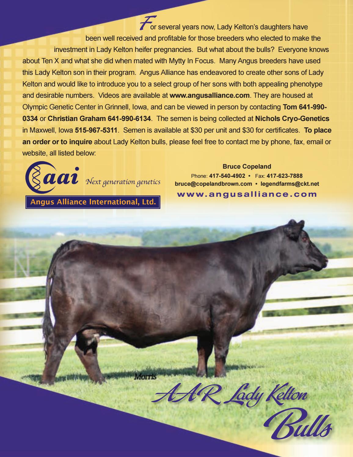 Angus Alliance International Bull Semen Booklet 2017 by ...
