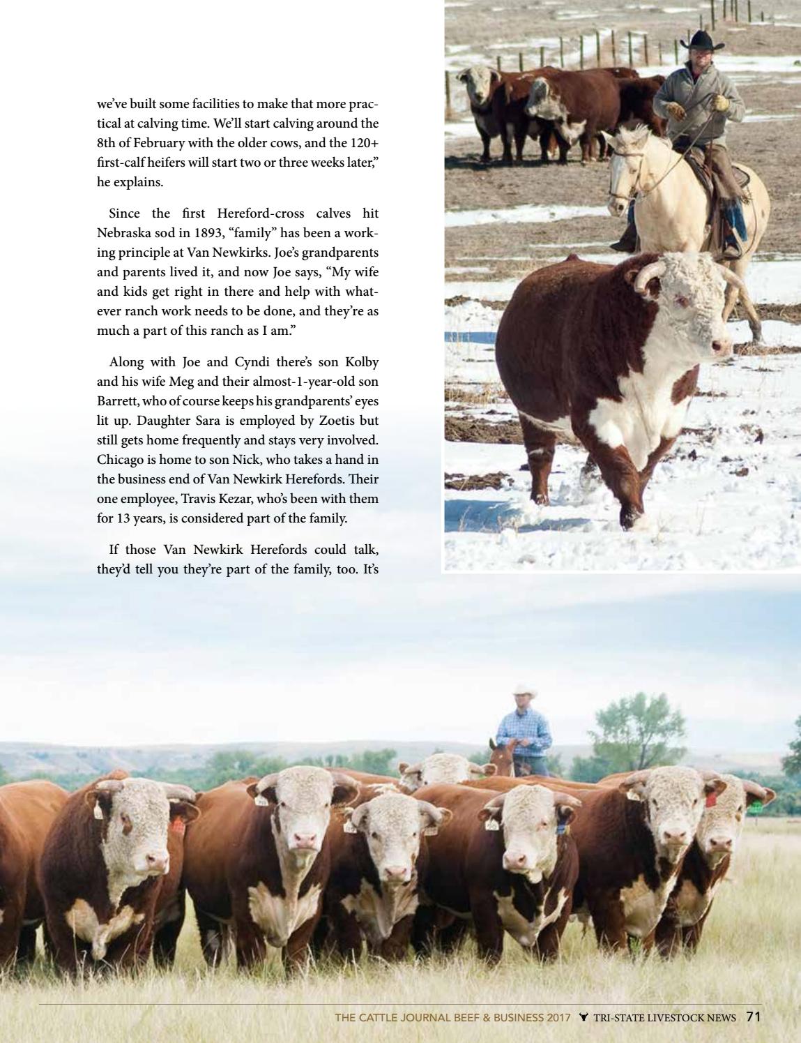 The Cattle Journal Beef & Business 2017 by TriState Livestock News