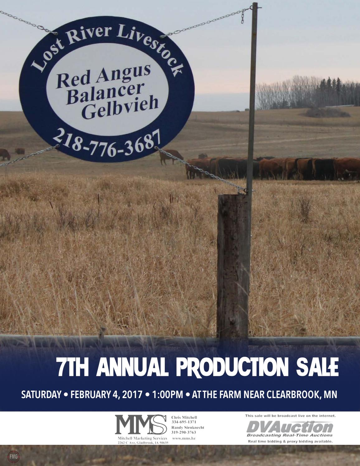 Lost River Livestock Annual Production Sale by American Gelbvieh
