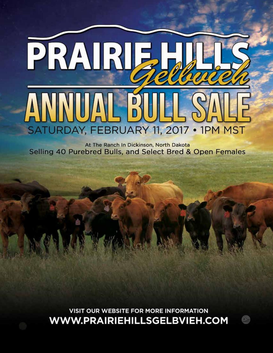 2017 PHG Annual Bull Sale Catalog by Ranch House Designs Issuu