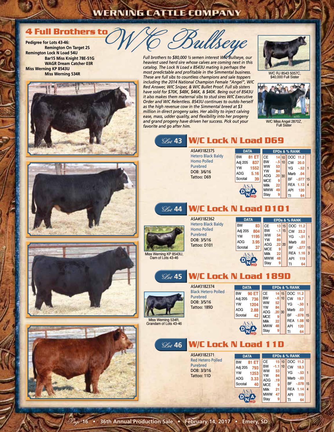 Werning Cattle Sale Catalog 2017 by Eberspacher Enterprises Issuu