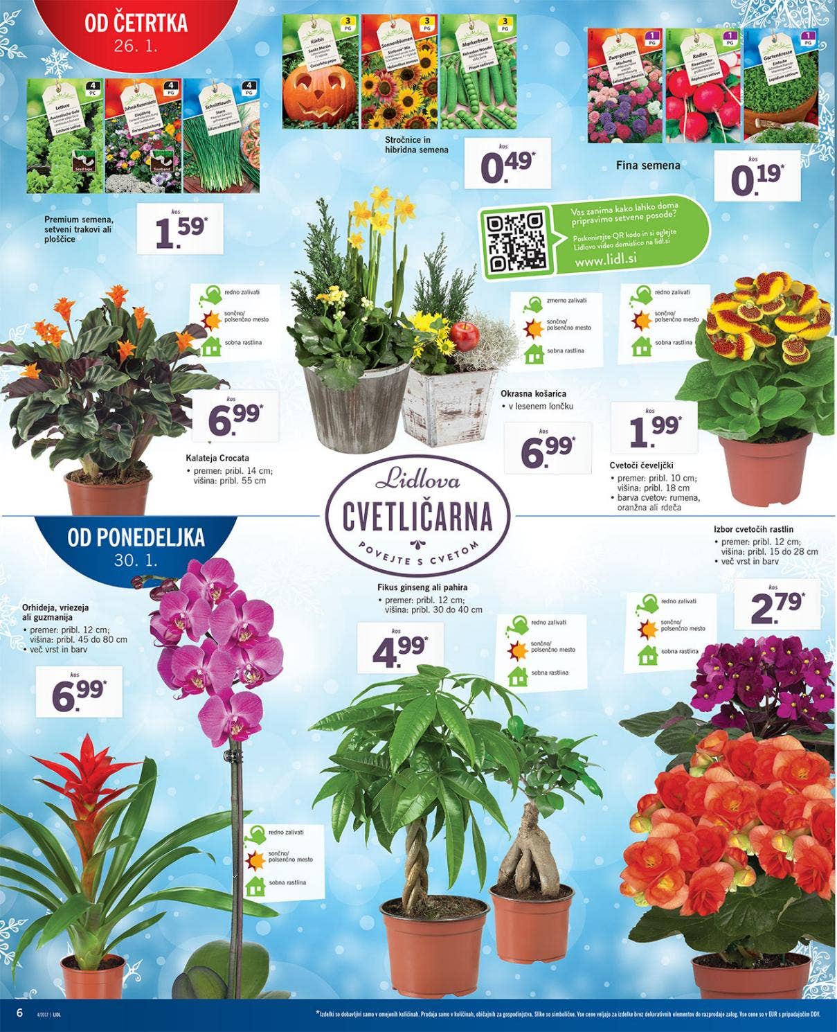 Lidl katalog neivila by Vsikatalogi.si - Issuu
