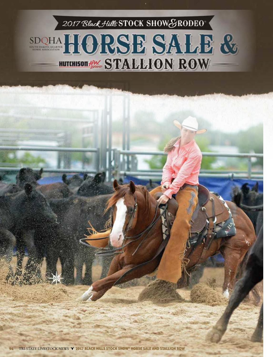 Hutchinson Stallion Row at Black Hills Stock Show® 2017 by TriState