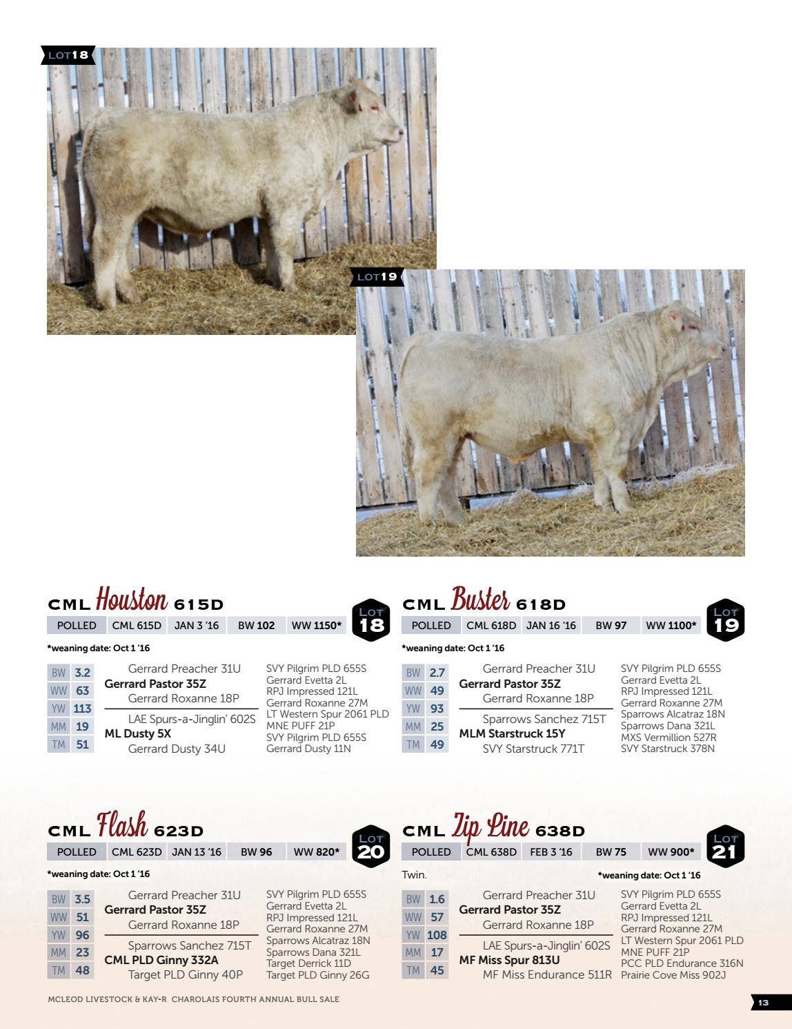 Kay R Cattle 2017 McLeod Livestock & KAY-R Charolais Bull Sale by Catalogs by Top ...