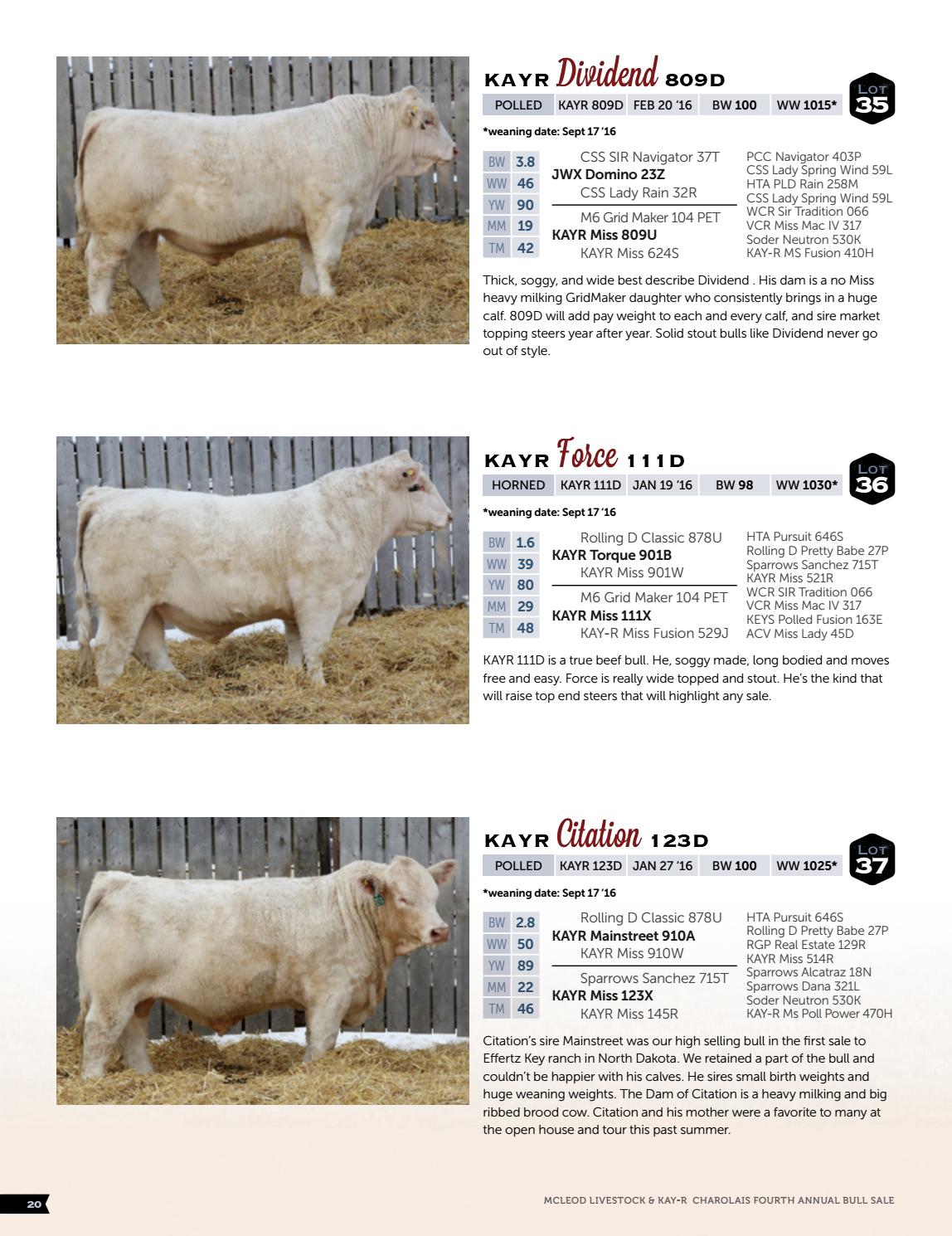 2017 McLeod Livestock & KAYR Charolais Bull Sale by Catalogs by Top