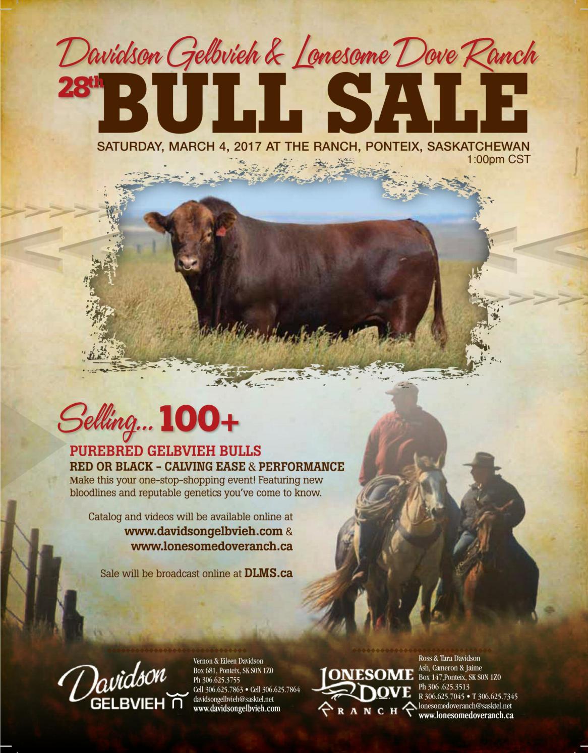 2017 Davidson Gelbvieh Lonesome Dove Ranch Bull Catalog by Lonesome