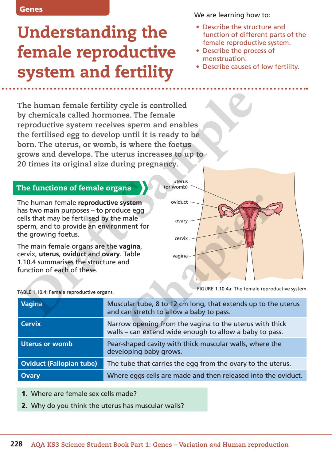 Aqa Ks3 Science Student Book Part 2 Look Inside By Collins Issuu Science 1 Vrogue
