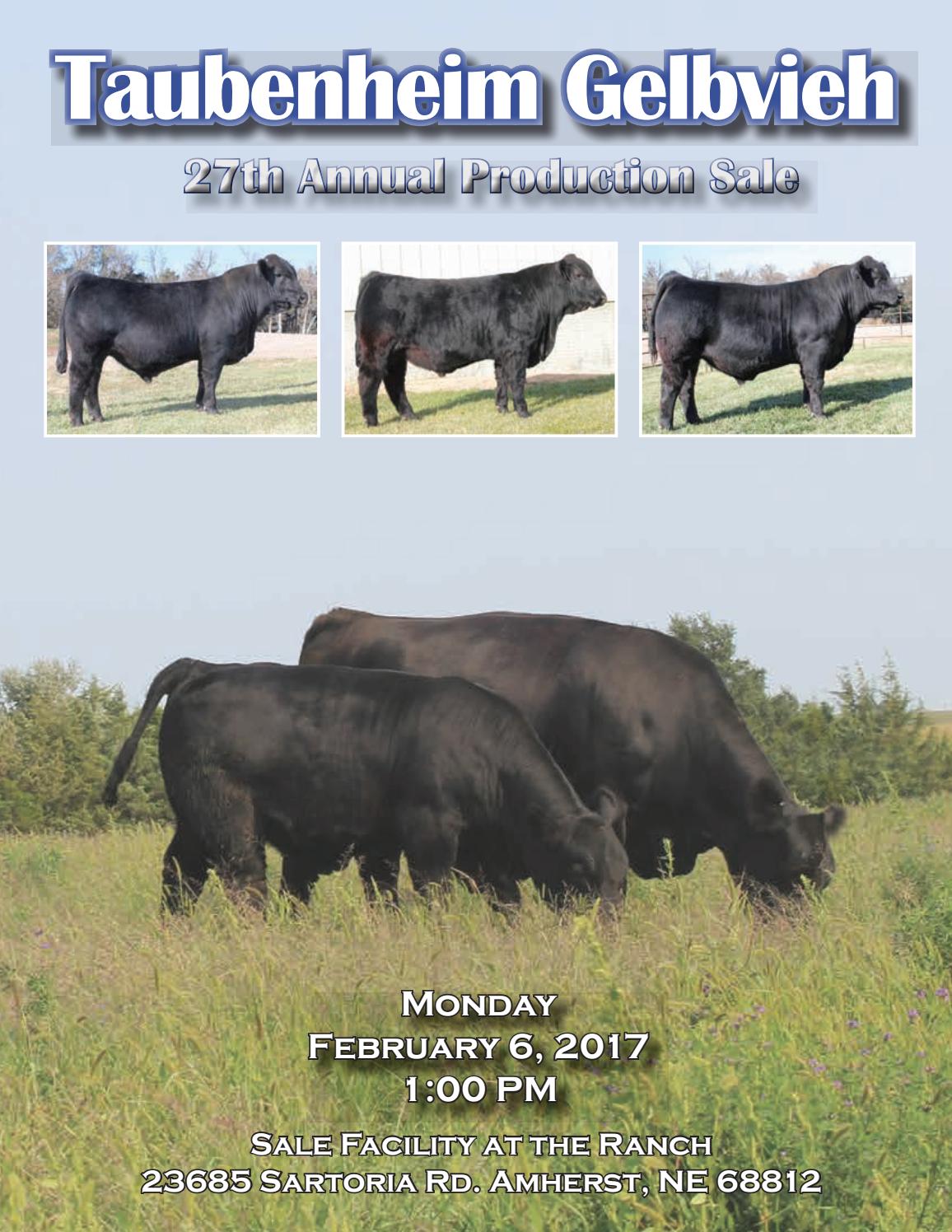Taubenheim Gelbvieh 27th Annual Production Sale by American Gelbvieh