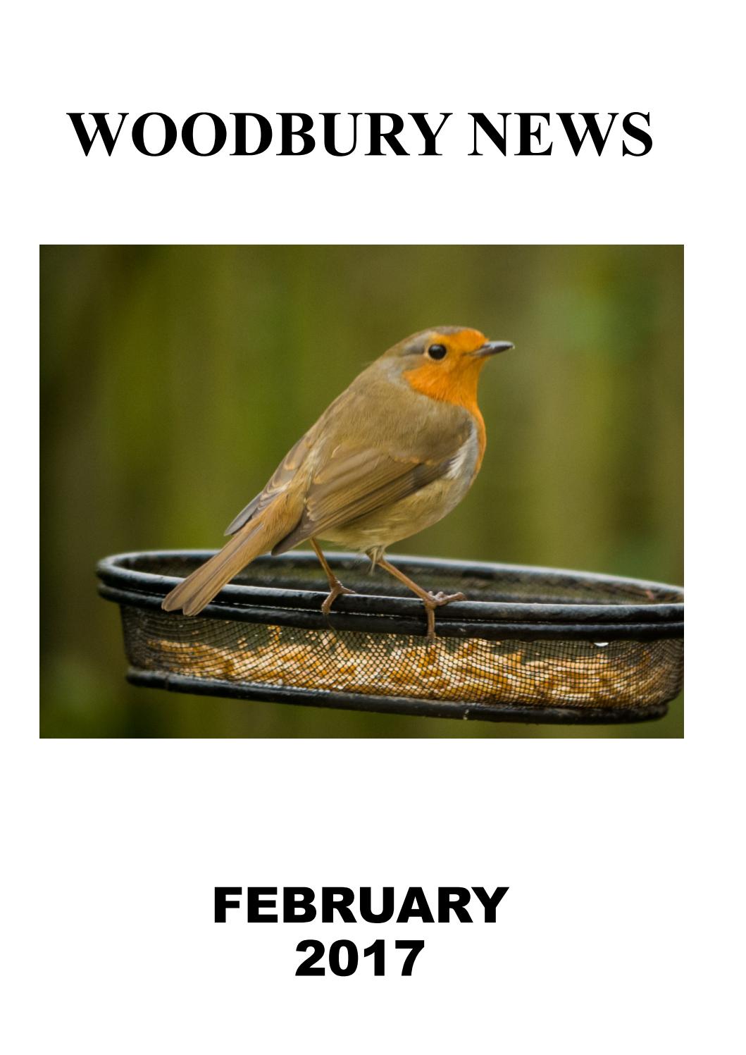 February 2017 by Woodbury News issuu February 2017 by Woodbury News issuu