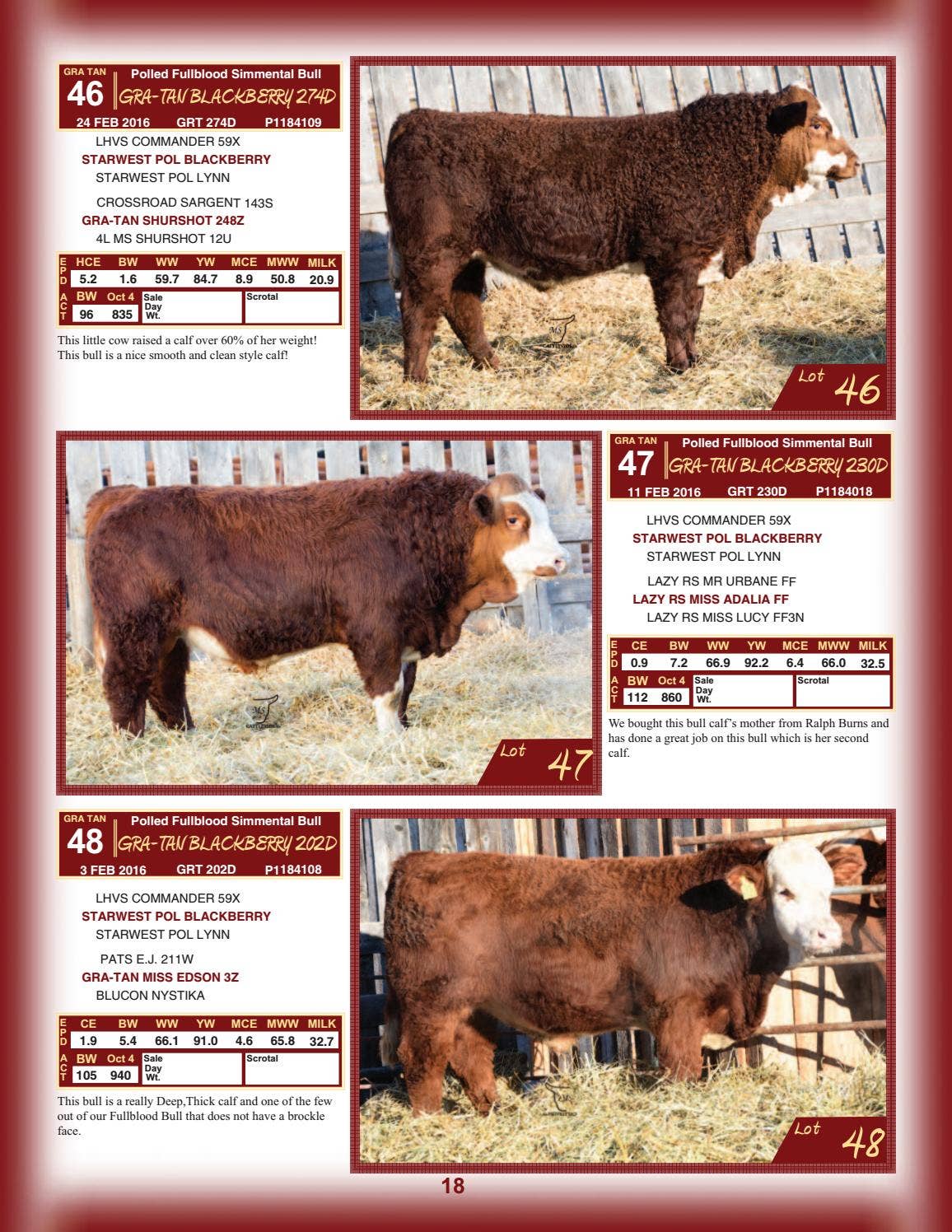 Chittick Reed Chittick Fmaily Bull Sale 2017 by DLMS-Cattlevids.ca - Issuu