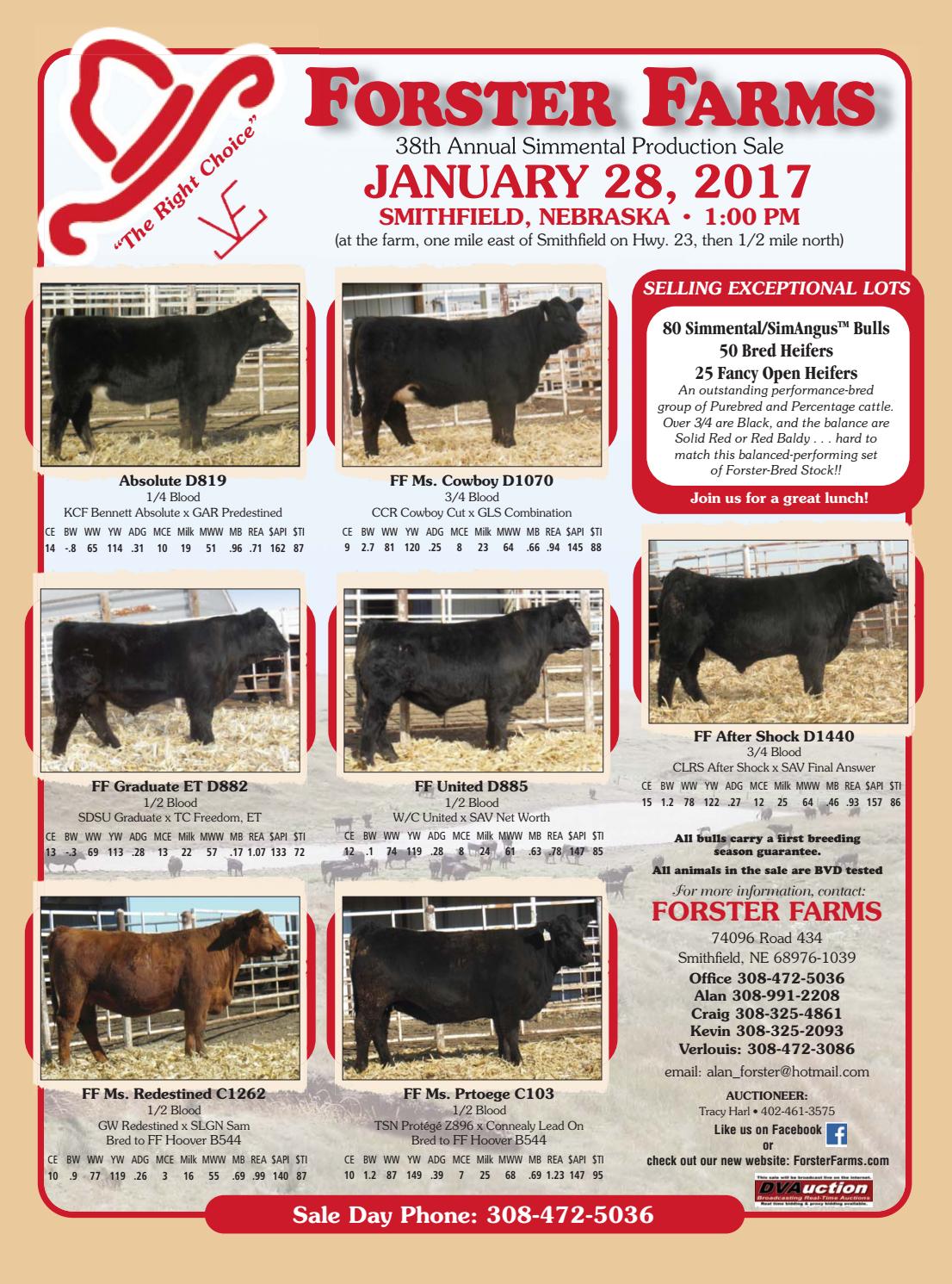 Simtalk January 17 By American Simmental Publication Inc Issuu