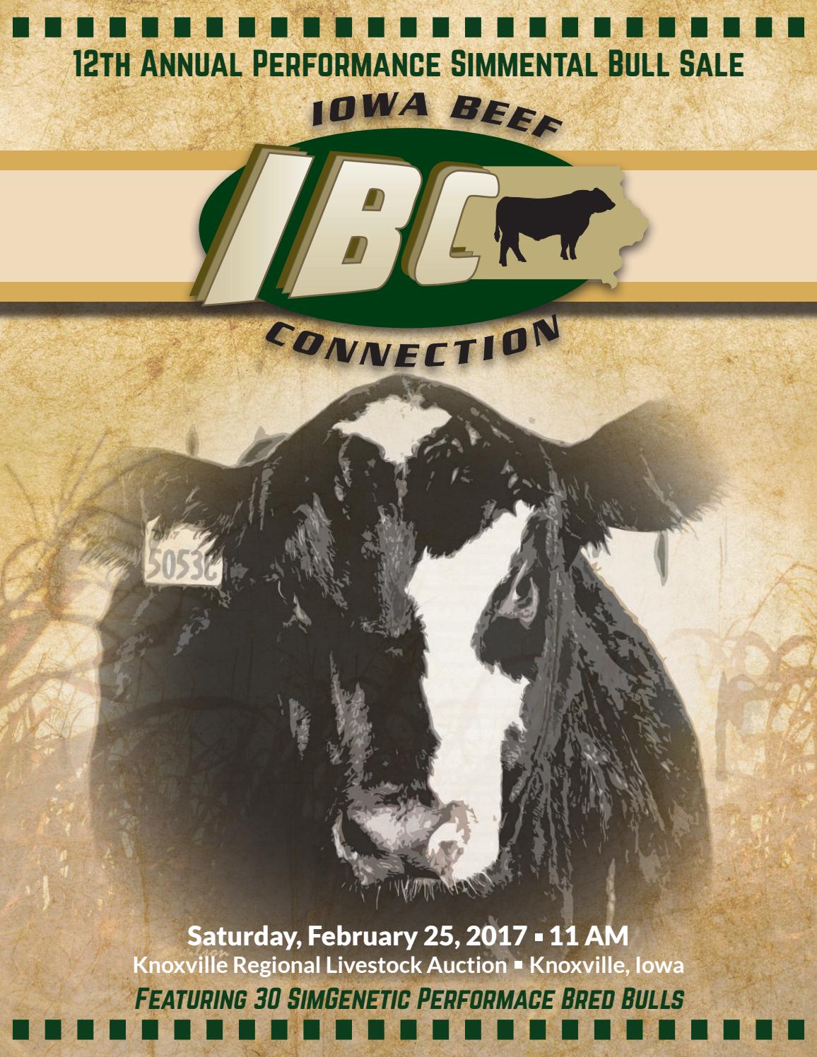 Iowa Beef Connection 2017 Bull Sale Catalog by LivestockDirect Issuu