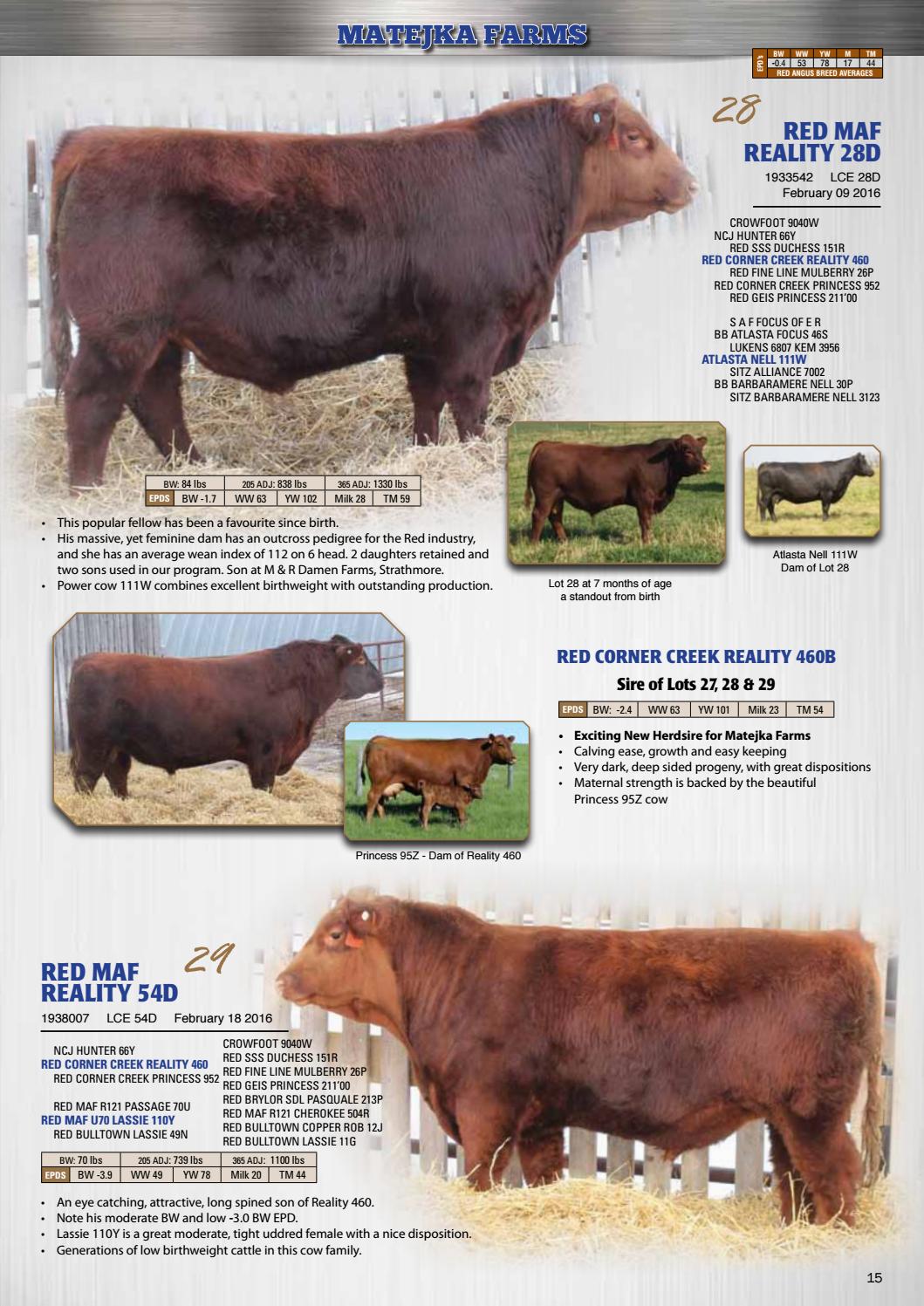 Cutting Edge 12th Annual Bull Sale by Bohrson Marketing Services Ltd