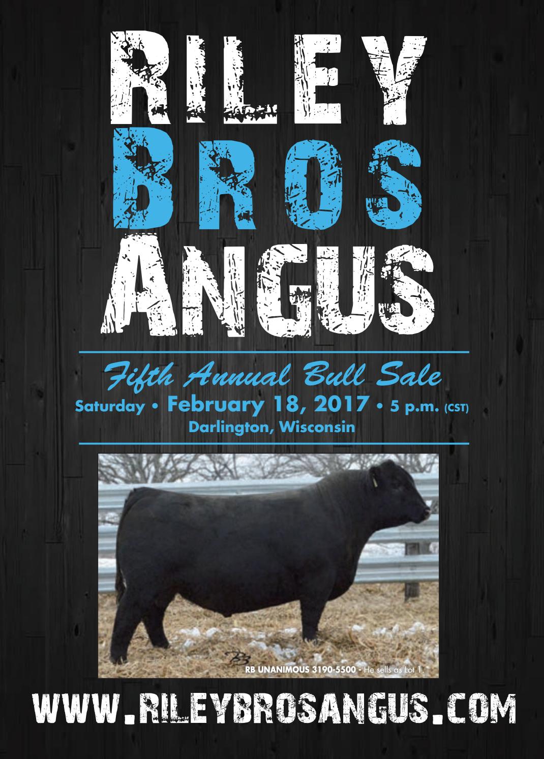 2017 Riley Bros Angus Sale Catalog by Ranch House Designs Issuu