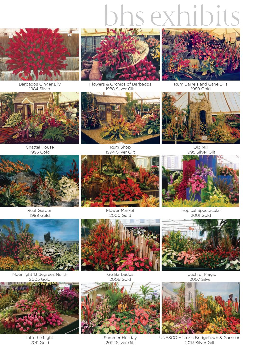 Ins Outs Of Barbados 17 Edition By Miller Publishing Co Ltd Issuu