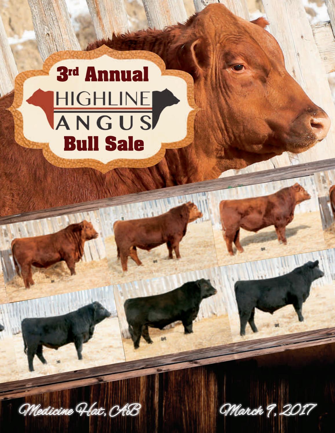21107 21107 highline angus catalogue p1 32 by Today's Publishing Inc