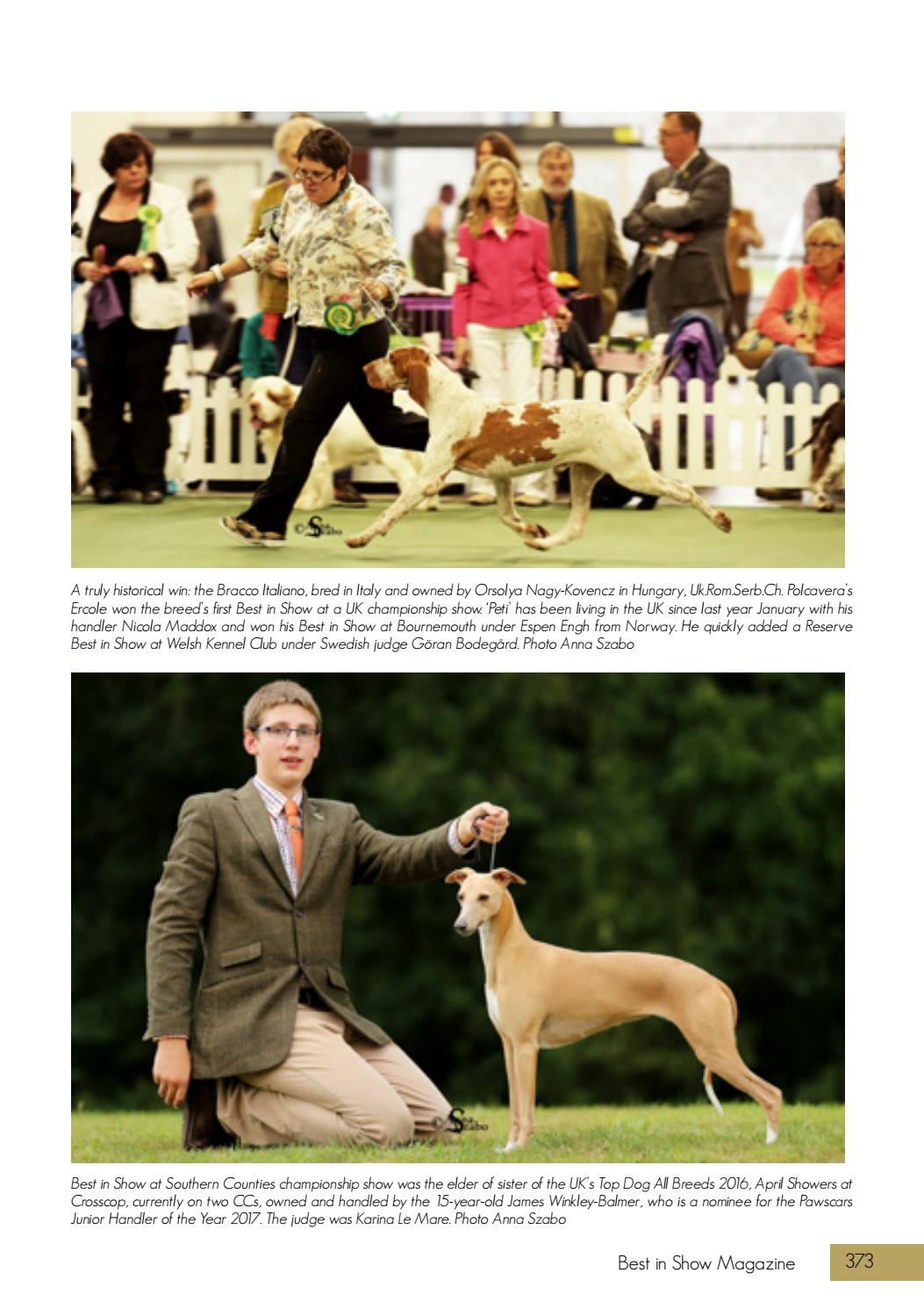 Best in Show Magazine Annual 2017 by Best in Show Magazine Issuu