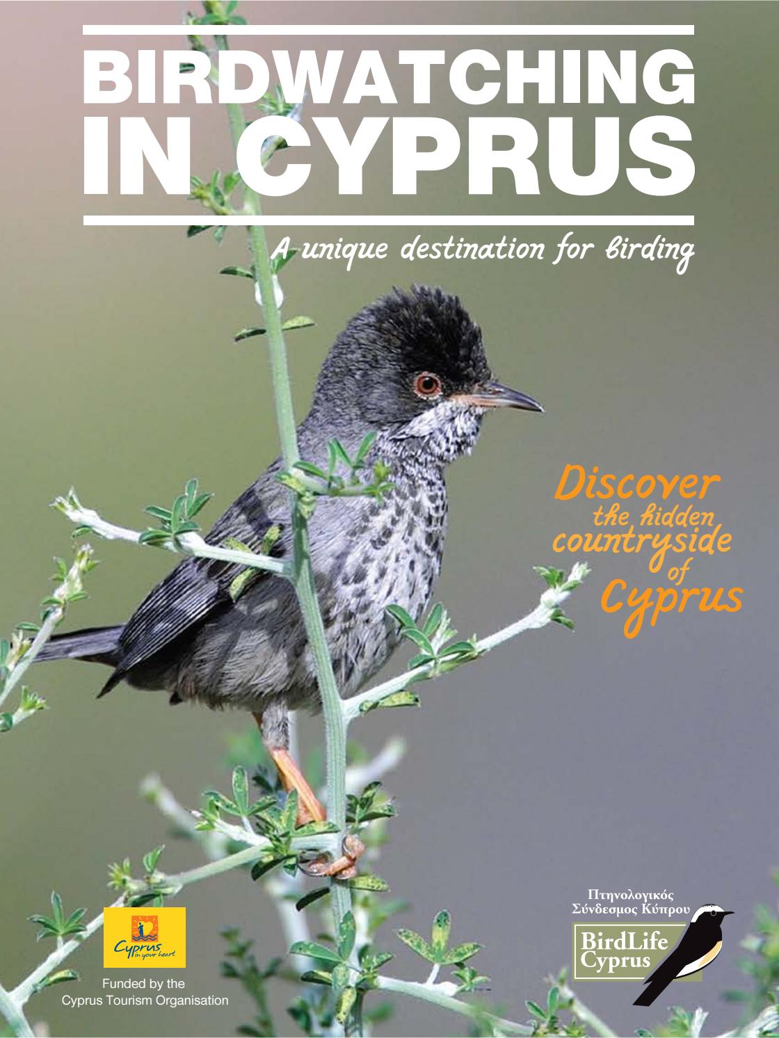 Birdwatching in Cyprus by birdlifecyprus Issuu