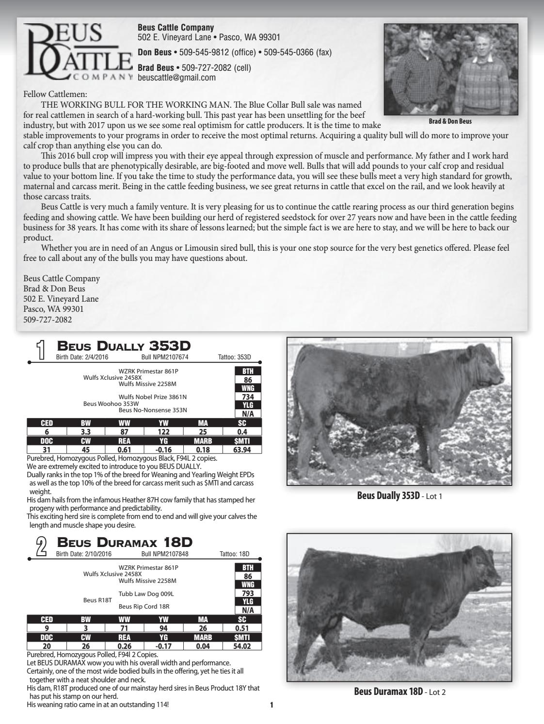 2017 Blue Collar Bull Sale Catalog by Ranch House Designs Issuu