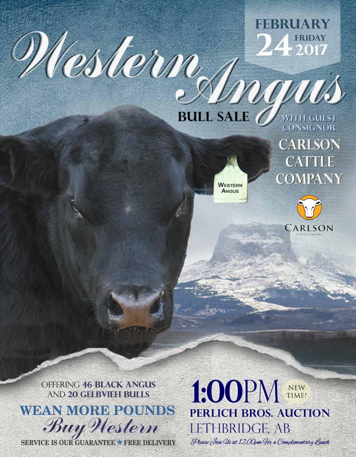 Western Angus 2017 Bull Sale by Coyote Publishing Ltd. Issuu