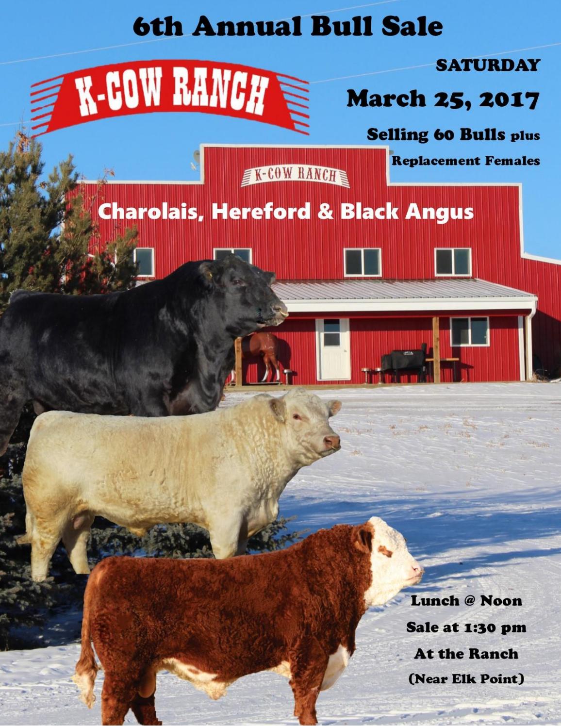 K Cow Ranch Bull Sale 2017 by Today's Publishing Inc. - Issuu