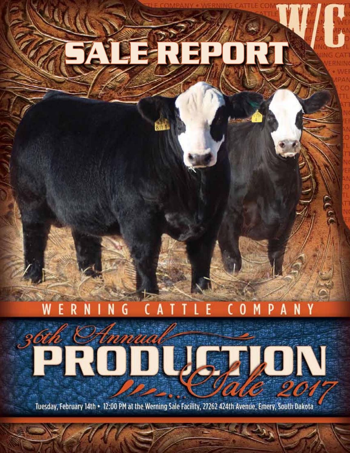 Werning Cattle Co Sale Report 2017 by Eberspacher Enterprises Issuu