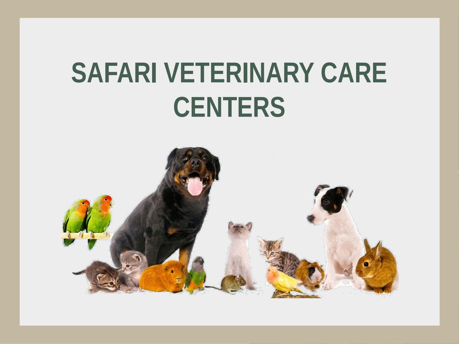 Veterinary hospital league city by Safari Veterinary Care Centers Issuu