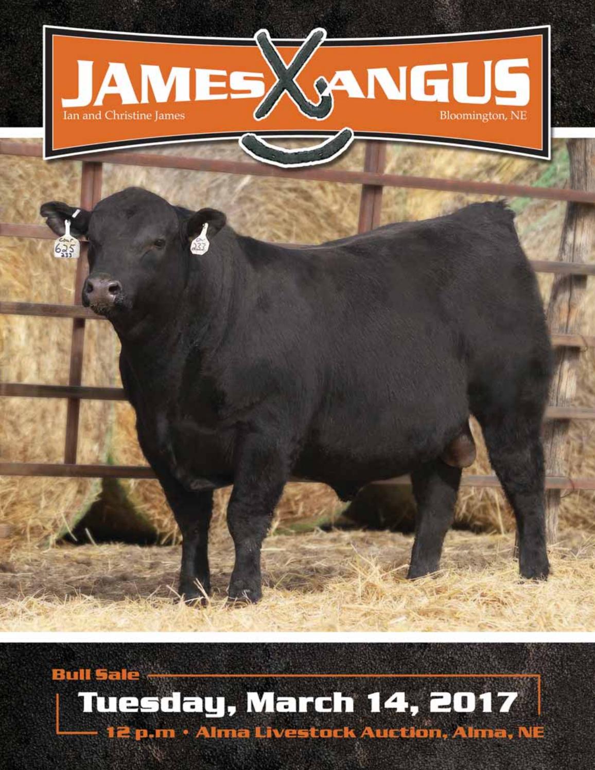 Web james angus 2017 bull sale catalog by RPI Promotions Issuu