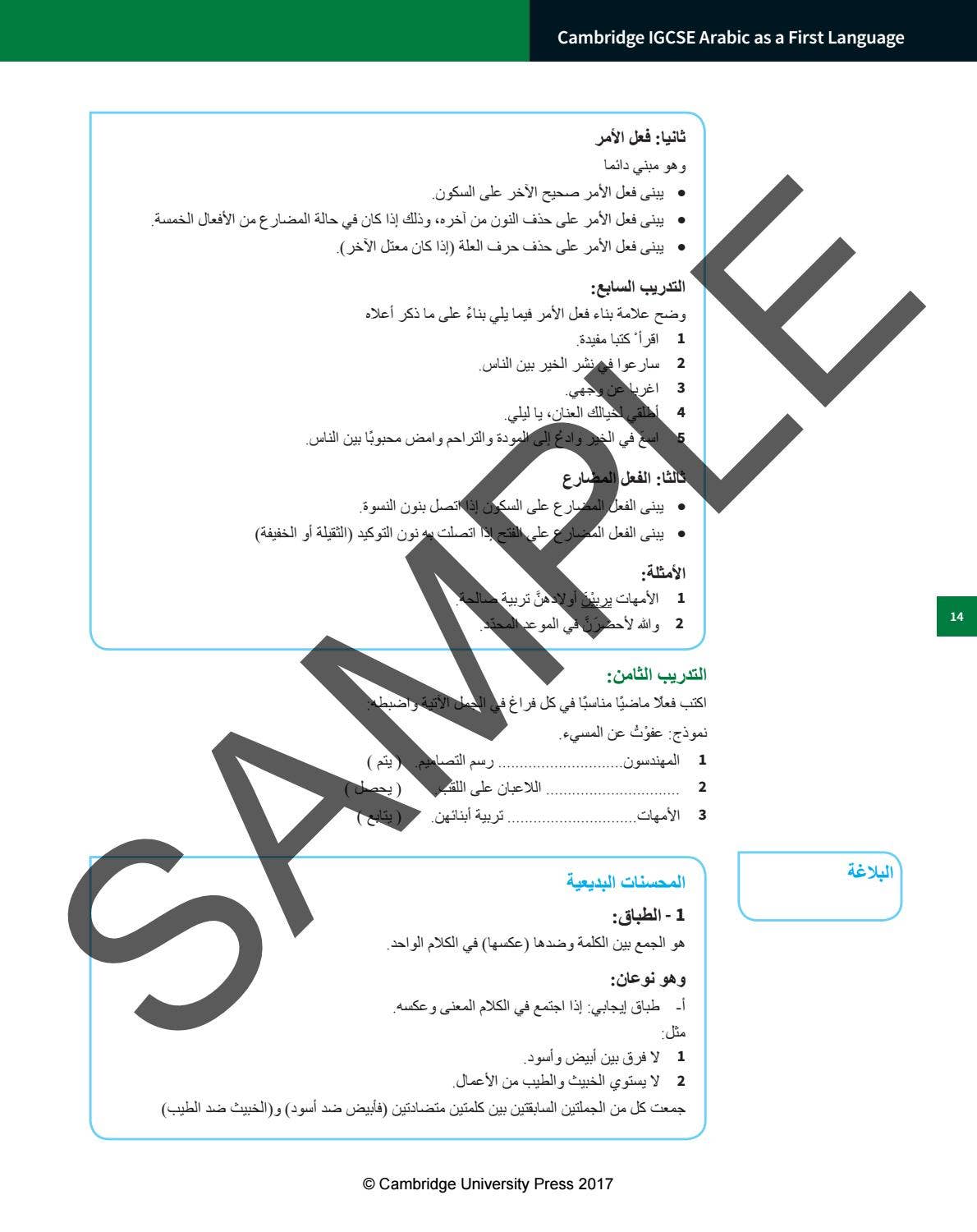 Preview Cambridge IGCSE Arabic as a First Language by Cambridge ...