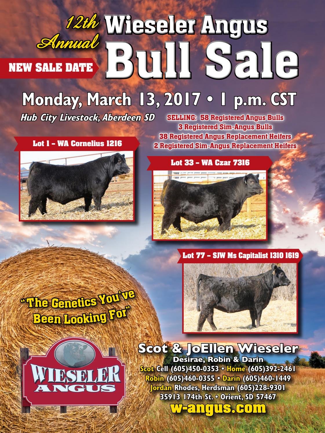 Wieseler Angus 2017 Bull Sale Catalog by Moxie Marketing of the Midwest