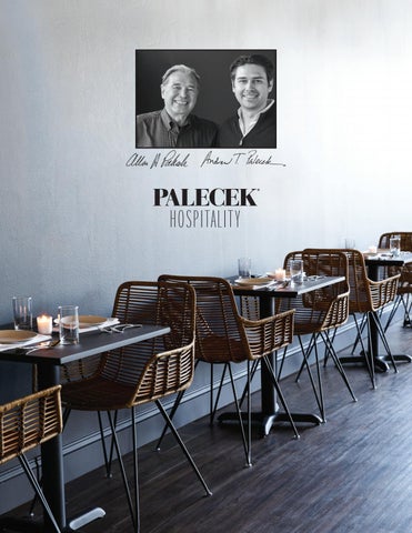 PALECEK 酒店工程 灯饰手册 第 2 页