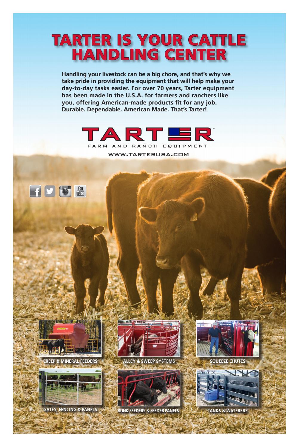The Beefmaster Pay Weight Spring 2017 By Beefmaster Breeders