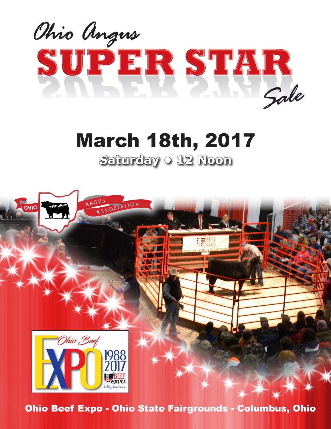 2017 ohio beef expo angus catalog web by Dan Wells Issuu