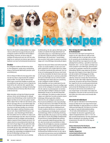 min valp har diarre min valp har diarre