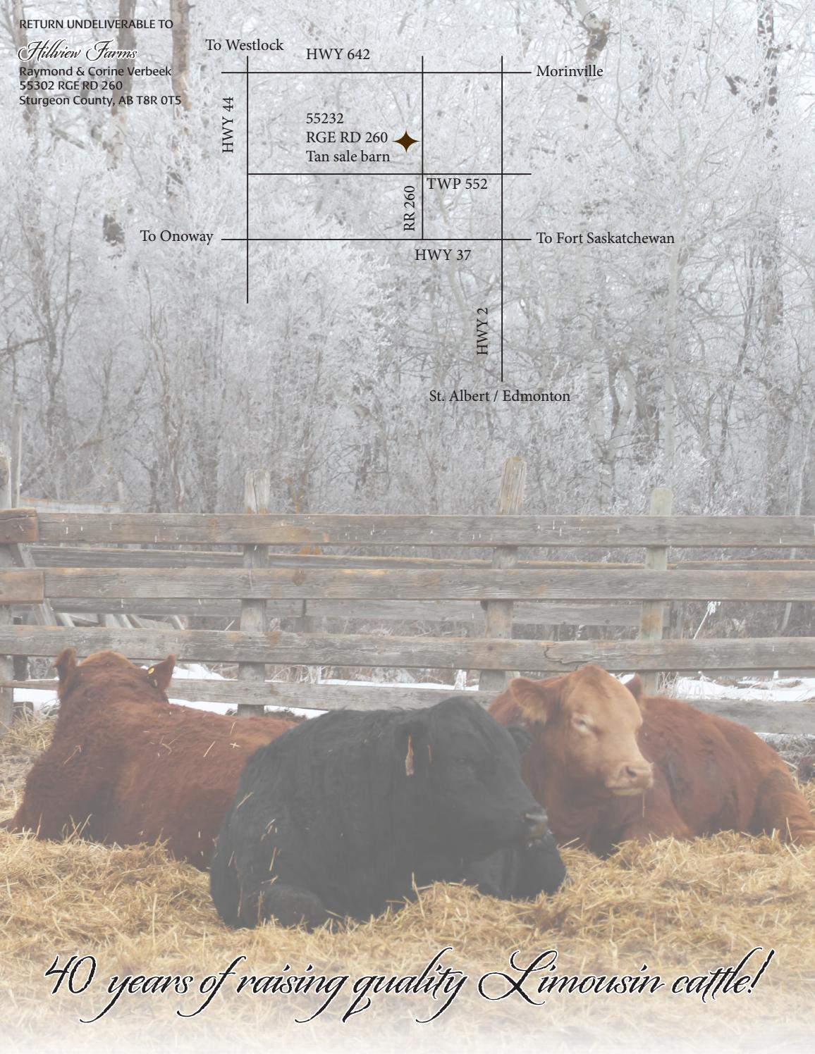 Hillview Farms 2017 Bull Sale by Hillview Farms Issuu