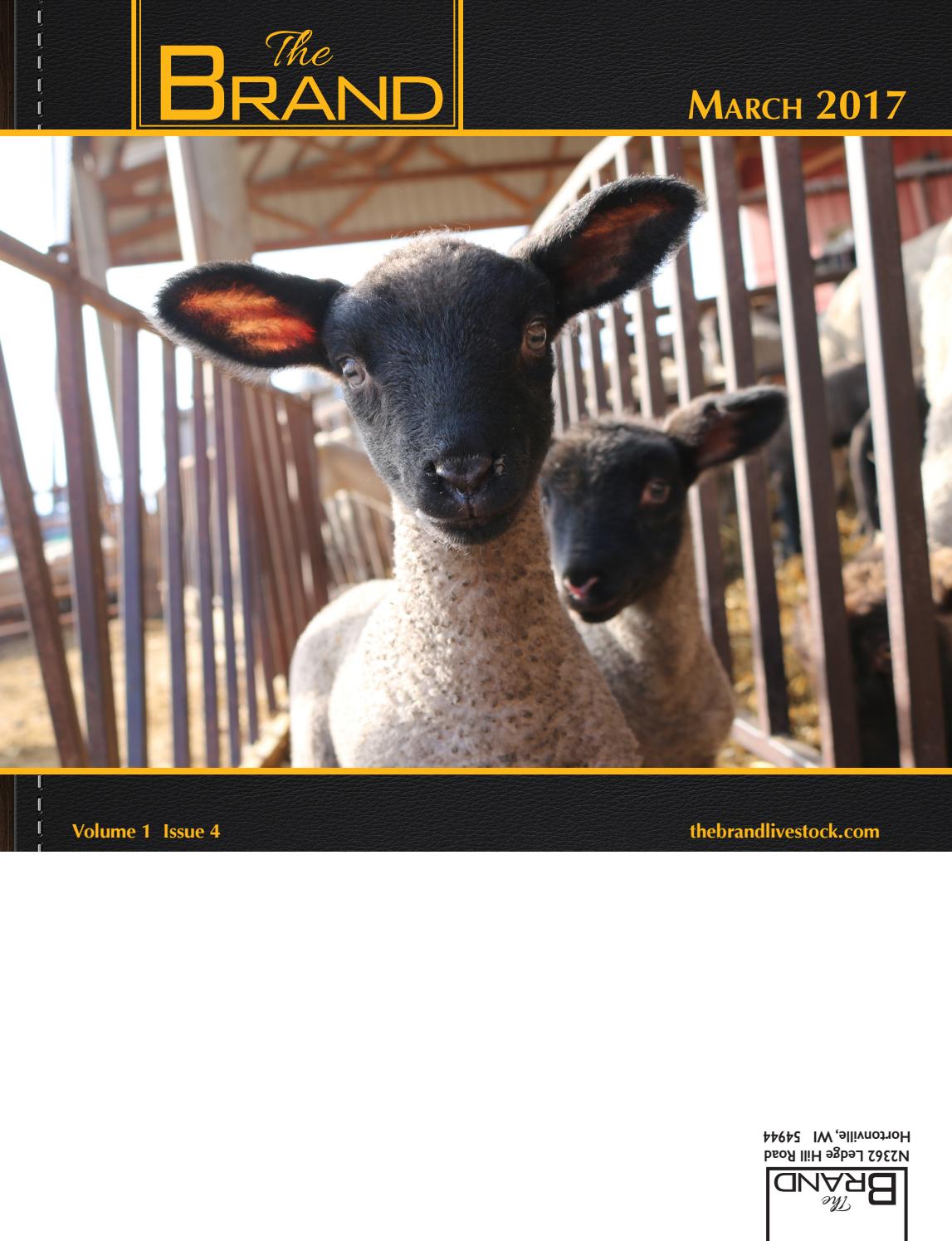 The Brand - March 2017 by The Brand - Issuu