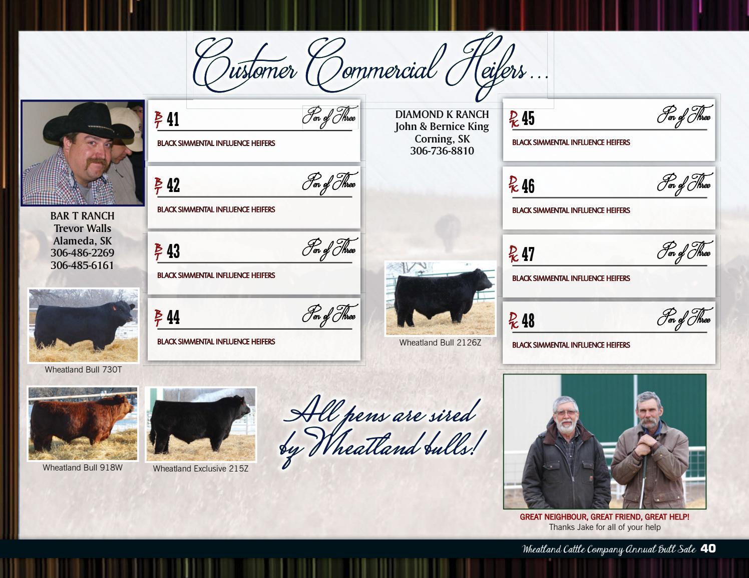 Wheatland Cattle Co. Annual Bull Sale by Today's Publishing Inc. Issuu