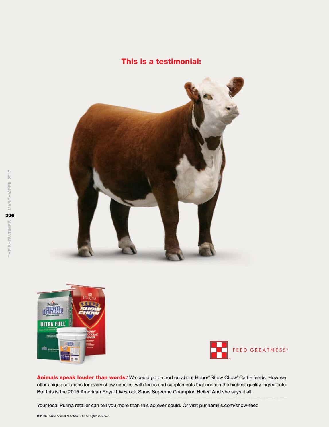 show chow cattle feed