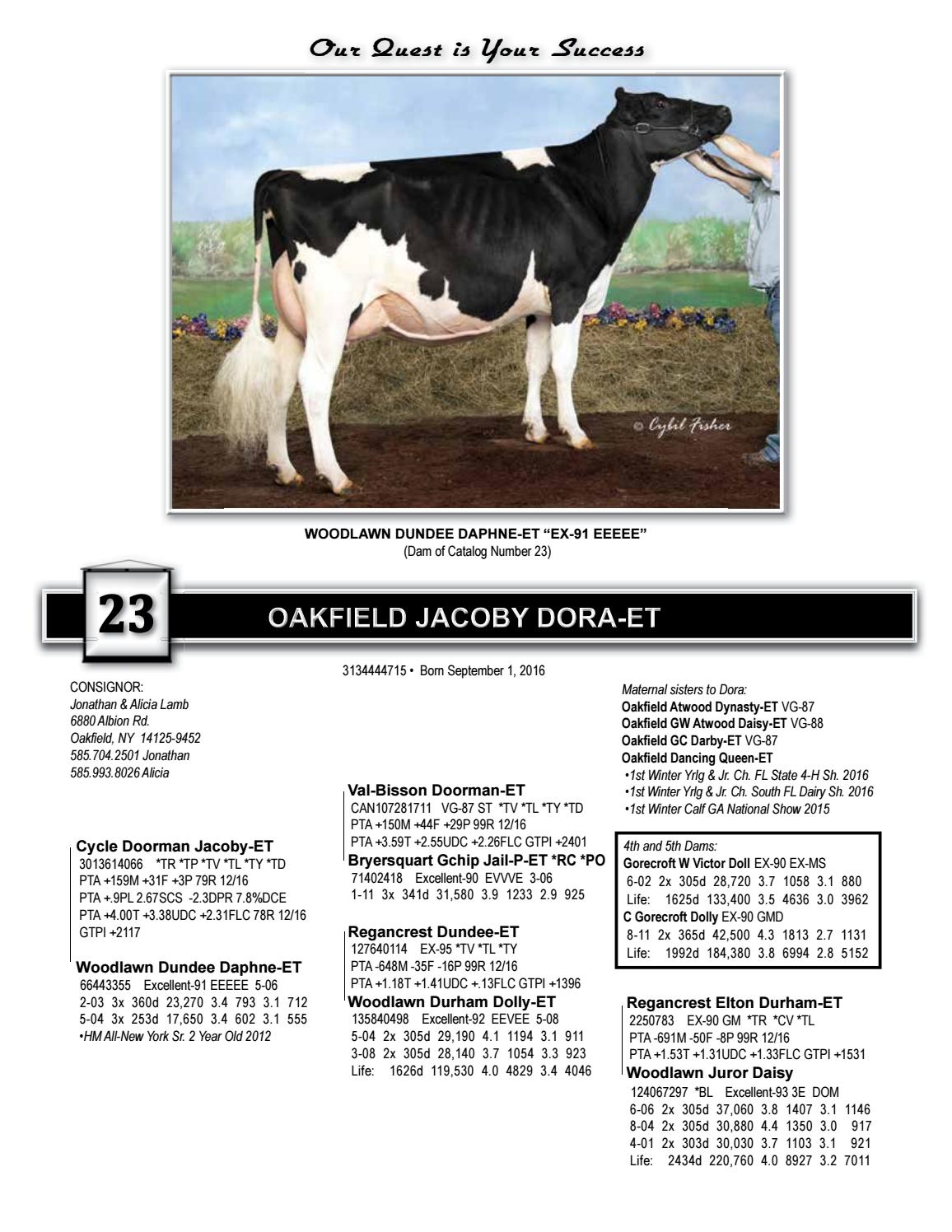 Quest For Success Iii By Cowsmopolitan Issuu