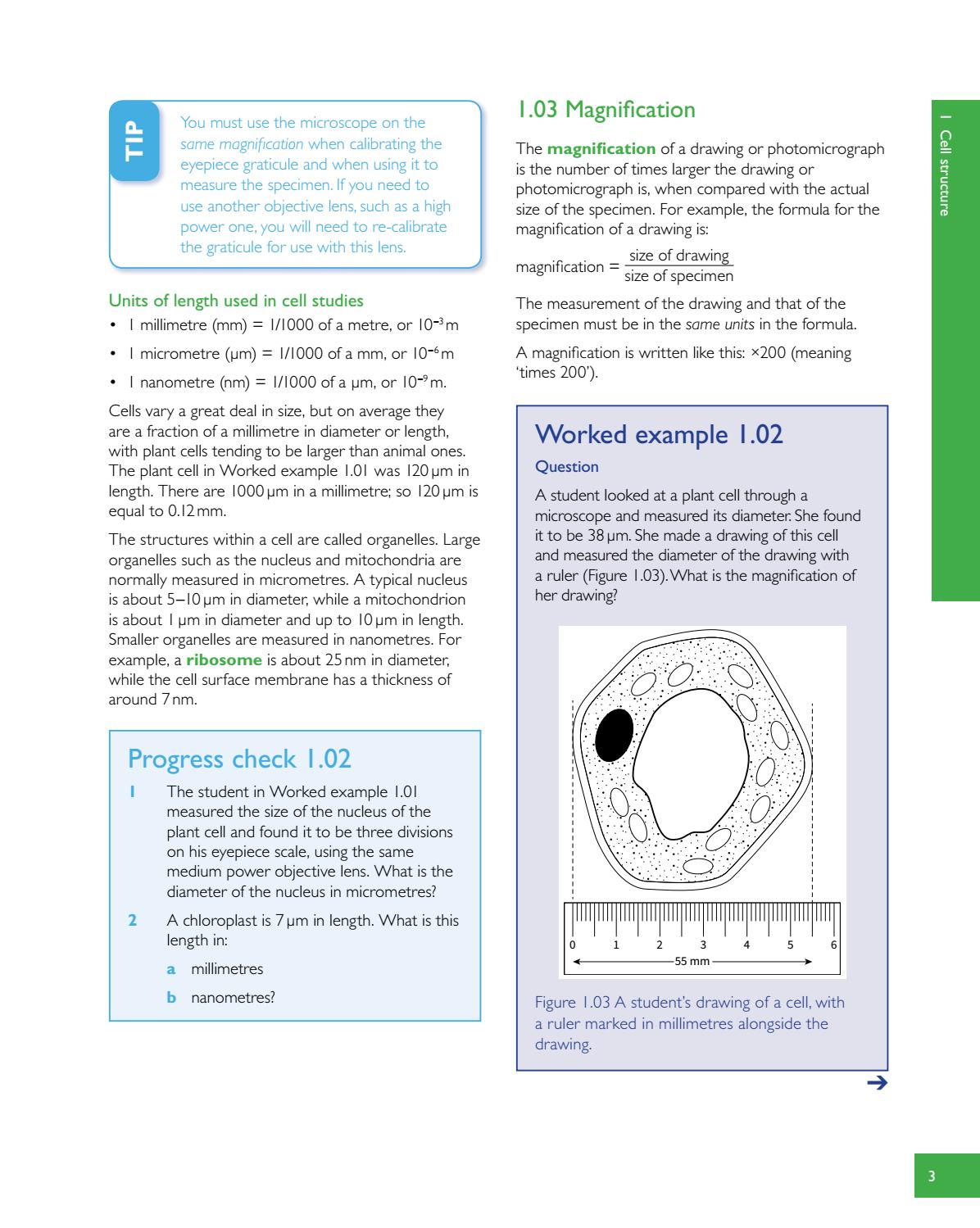 Preview Cambridge International AS and A Level Biology Revision Guide ...