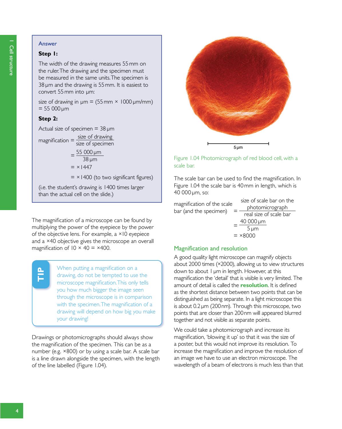 Preview Cambridge International AS and A Level Biology Revision Guide ...