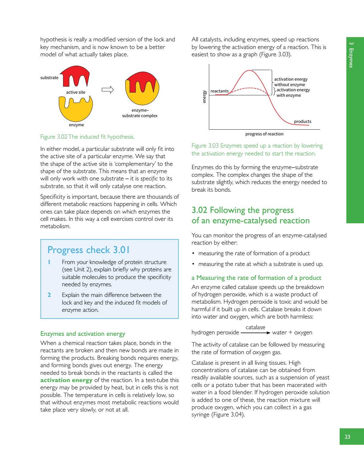Preview Cambridge International AS and A Level Biology Revision Guide ...