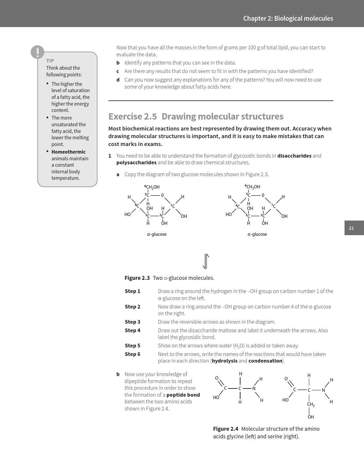 Preview Cambridge International AS and A Level Biology Workbook by ...