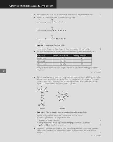 Preview Cambridge International AS and A Level Biology Workbook by ...