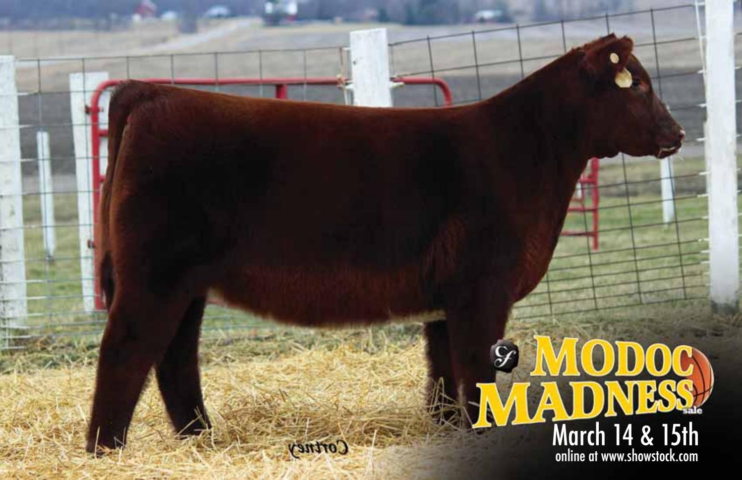 Cates Farms Modoc Madness Catalog 2017 by Arin Strasburg Issuu