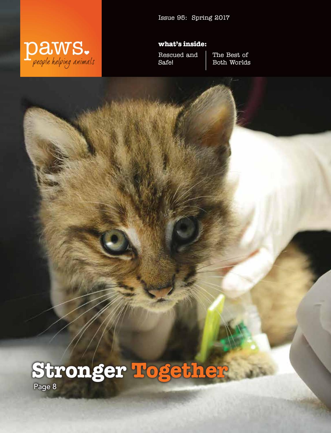 PAWS Spring Magazine 2017 by PAWS Issuu