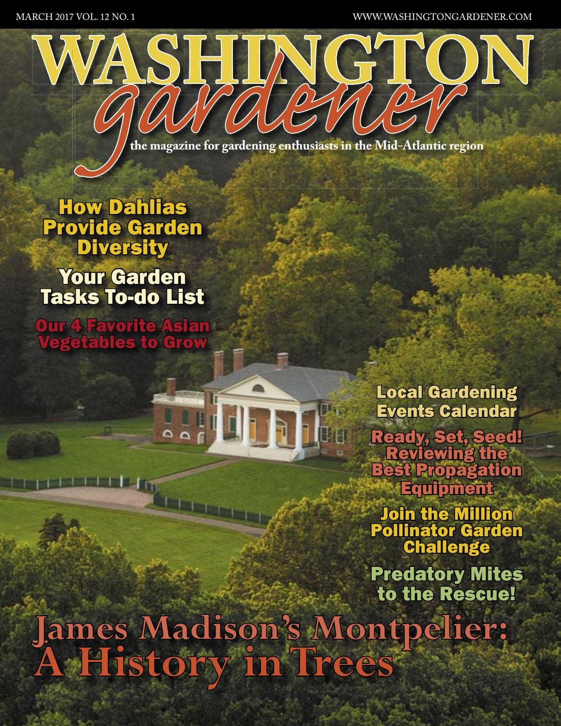 Issuu, image size:1156x1496