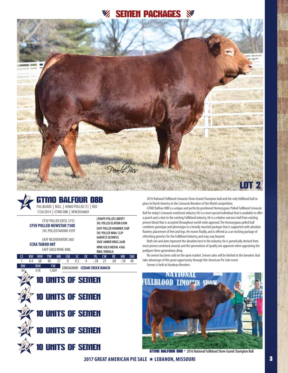2017 Great American Pie Sale by Precision Marketing - Issuu
